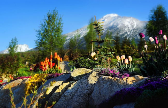 panoraMic Mountain Residence - Photo 32