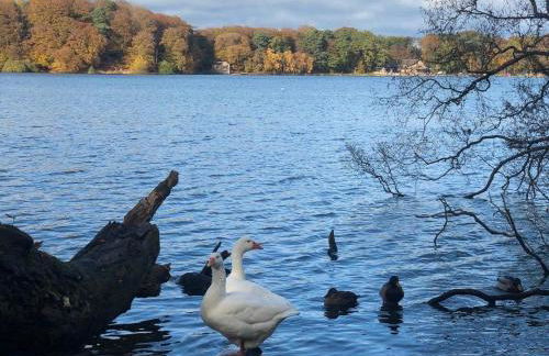 Waters Edge, Talkin Tarn, a luxurious bungalow with stunning views over the tarn - Foto 36