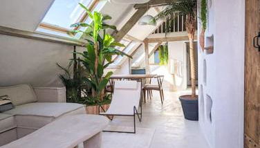 Jungle's Tours Une Oasis en Plein Cœur de la Ville - Photo 3