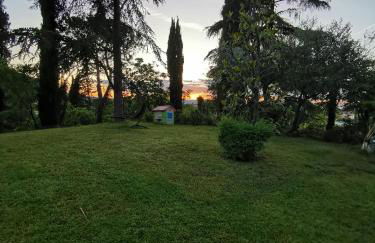 Il Bagolaro - Foto 6