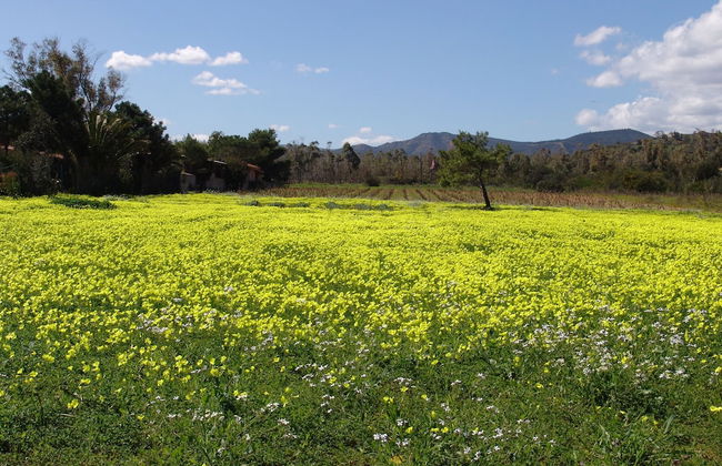 Villaggio Porto Corallo - Foto 46