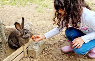 Quinta do Quartel - Foto 49