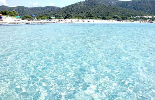 Newly built Holiday House in Teulada - Foto 21