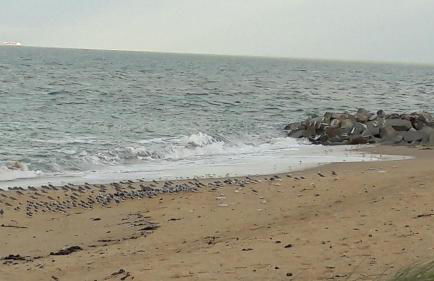 Ma Chaumiere - Foto 34