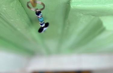 Bloom Yard - Foto 24