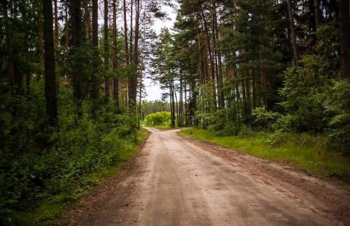 Agroturystyka na wsi w borach tucholskich - Foto 8