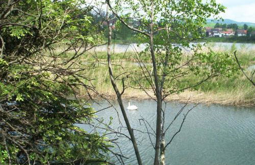 Ferienwohnungen Stricker Harz - Photo 28