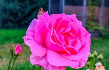 Gîte Le Grand Albizia - Foto 35