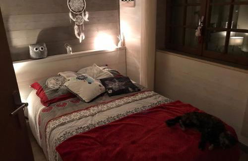 Maison typique Périgourdine avec piscine - Foto 11