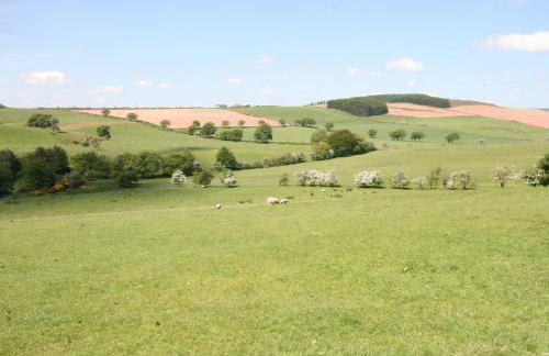 Halliday Hill Cottage - Photo 11