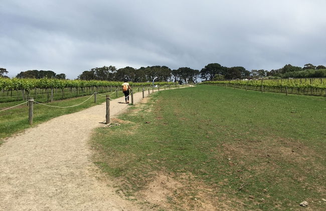 Aquawaters house by Barefoot Beach stays - Foto 22