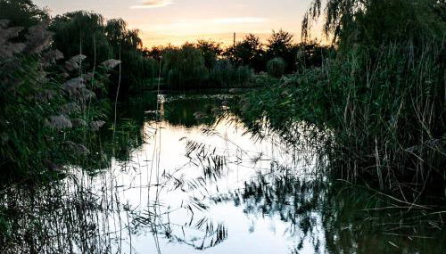 No 6 Lake View Lodges - 28283 - Foto 3, Garden