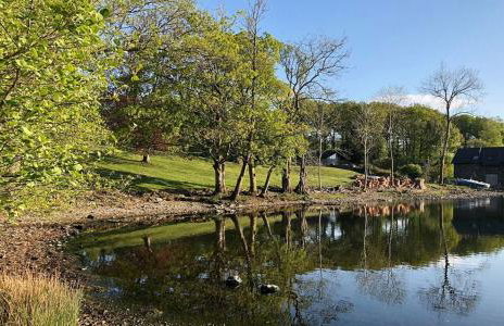 High Cunsey Farm - Foto 45