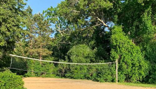 Ocean Mandevilla - Foto 5