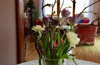 Holiday Home an der Kaschubischen Seenplatte by Interhome - Foto 69