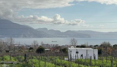 Vigna delle Rose - Foto 4