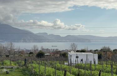 Vigna delle Rose - Foto 4