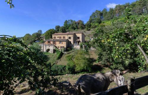 Gîte Capucine - Foto 11