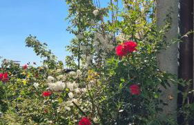 Ferienwohnung in Wartenberg - Foto 15