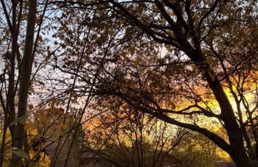 El Roble, casitas rurales - Foto 69