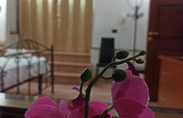 Meraviglie Salentine - Foto 39