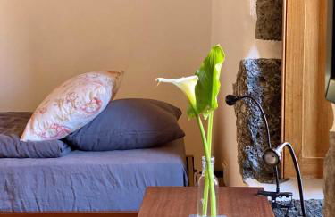 Quinta Perpetua, Casa Corvo - Foto 12