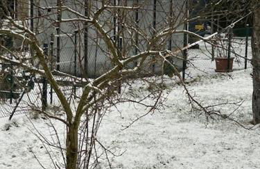 Haus am Stadtrand von Berlin - Photo 12