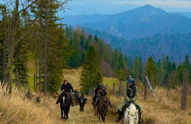 Agro Ranczo - Domek na wynajem - Foto 19