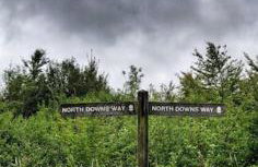 Romantic Shepherds hut with stunning sunsets - Photo 9