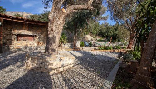 Argyros house - Foto 4, Garden