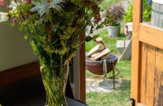 The Acorn - Luxury Shepherds Hut hot tub panoramic views - Foto 25