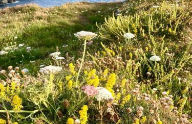 Olive's Cabin - Foto 17