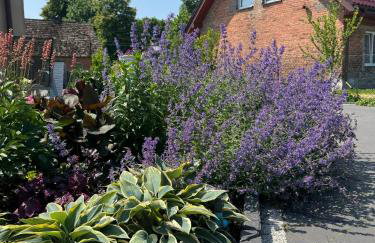 Apartament przy Lesie - Domki u Piotrusia - Foto 17