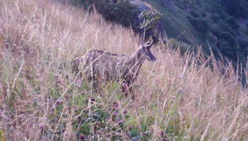 Charmant chalet de montagne avec terrasse et vue imprenable - FR-1-589-72 - Foto 4
