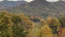 Maple Street Overlook - Photo 2