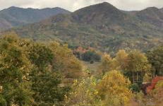 Maple Street Overlook - Foto 2