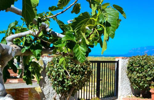 Maresole apartments - direttamente sul mare - Foto 51