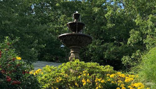 Super Room Rental with Decks in a Bed and Breakfast Getaway near Camden, Maine - Foto 3