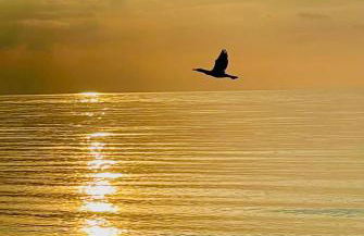 Ferienresidenz am Salzhaff - Foto 17