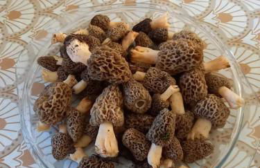 Le chalet de Sabine et Patrick - Foto 16