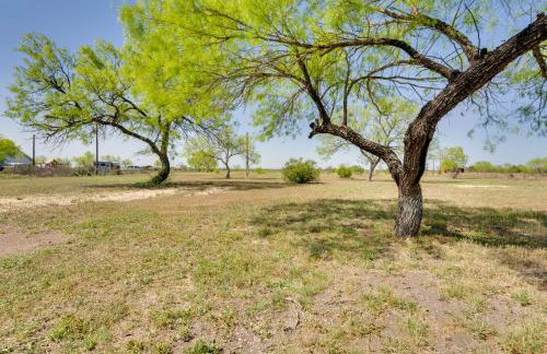 Pet-Friendly Cabin on 3 Acres: 7 Mi to Uvalde! - Foto 31