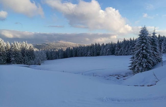 Pension Zum Glasmacher - Foto 38