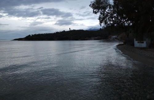 Kalama Apartments - Foto 38