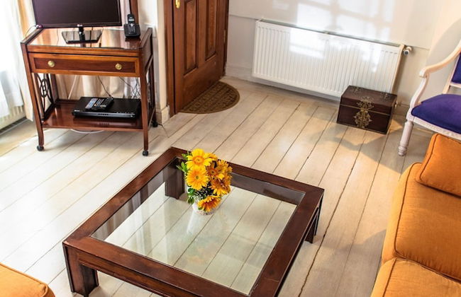 Lovely Apartment, Sultan Ahmet, Old Part Istanbul - Foto 17