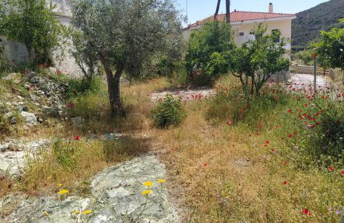 Kerry's Evia Island House - Foto 41