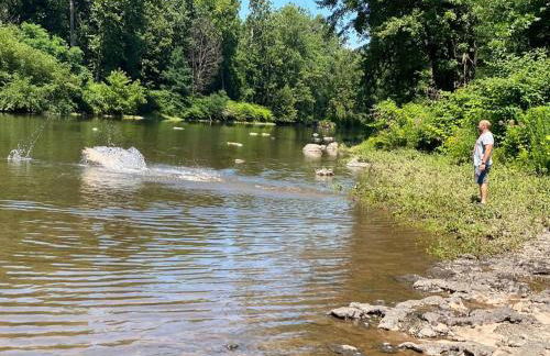 Murphys Law Inn 4 - Foto 12