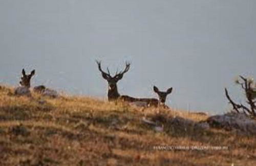 Iris Apartment, Parco Velino Sirente - Foto 40
