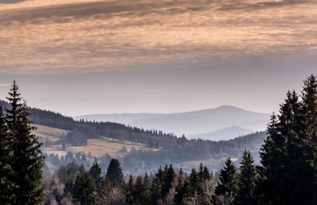 Cozy Forest Adventure Stay - Foto 39