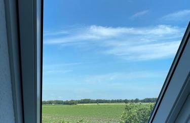 Landhaus Hassel - Foto 12