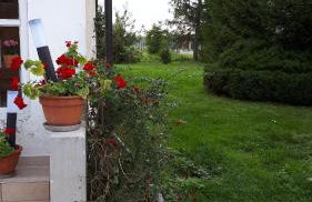 Agroturystyka "JAGAP" OAZA SPOKOJU - Foto 33